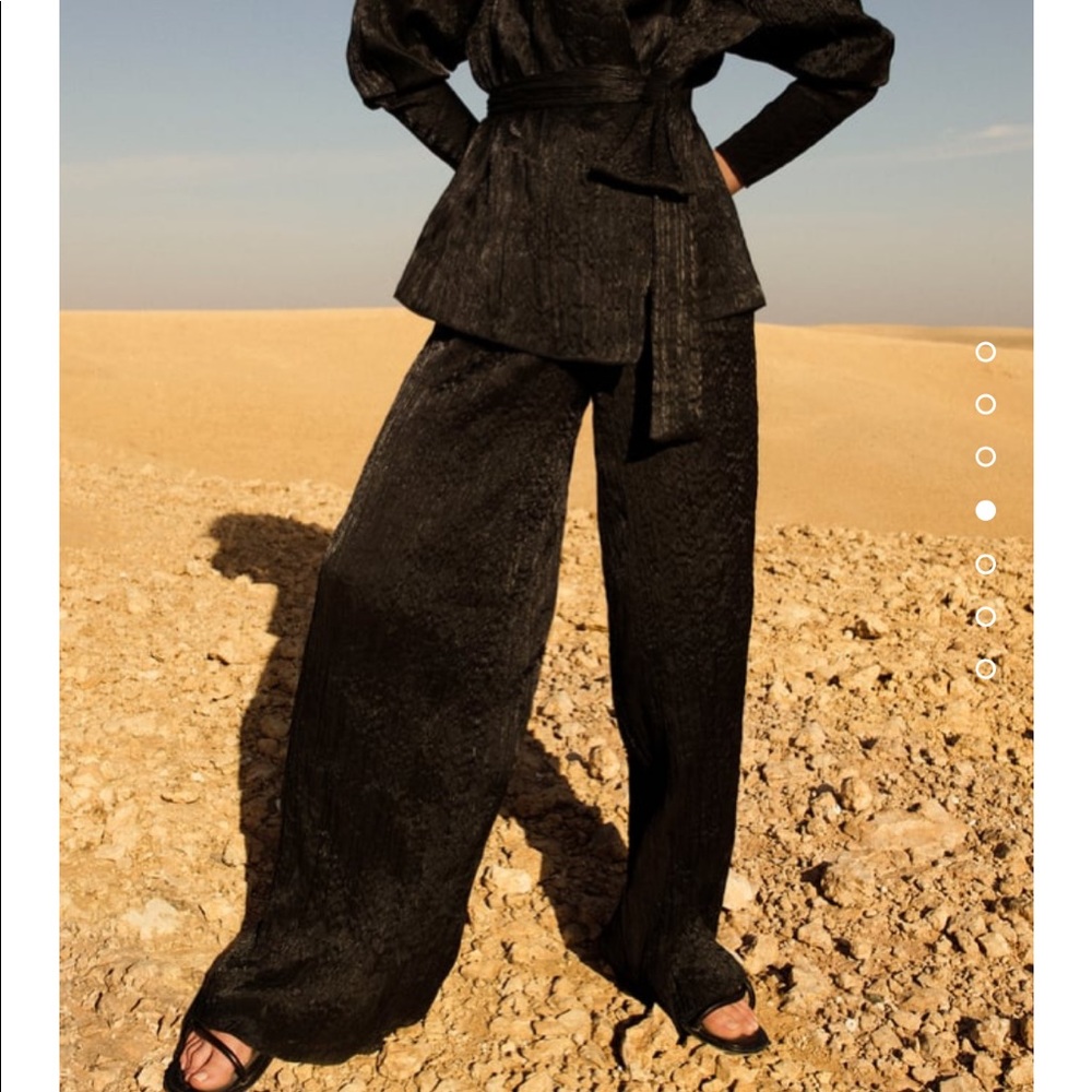 ZARA PANTS